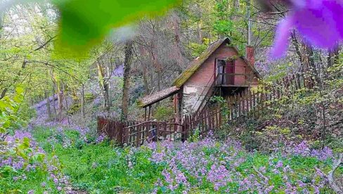 Стаза Ивице и Марице: Скривени драгуљ Вршачких планина идеалан за пролећну шетњу (ФОТО)