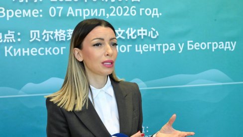 Srbija nikad bliža Evropi! Mesarović: Naša zemlja je uvažena u svetu, sami donosimo svoje odluke