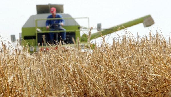 Стиже нова помоћ државе: Ево ко може да се пријави