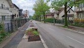 Ekocid u Banjaluci: Posečen  drvored i na destine stabala na obali Vrbasa