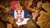 Imamo novu vrstu ineksta! U Srbiji pronađen ljubičasti džin, jedan od najvećih - turski puževi su mu poseban specijalitet (FOTO)