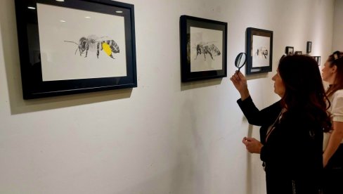 Umetnost opstanka: Izložba slika likovne umetnice Sanje Đurić u Zrenjaninu (FOTO)