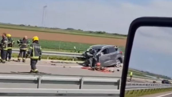 Вук преживео стравичну несрећу код Руме: Лекари му се боре за живот, али му је хитно потребна крв