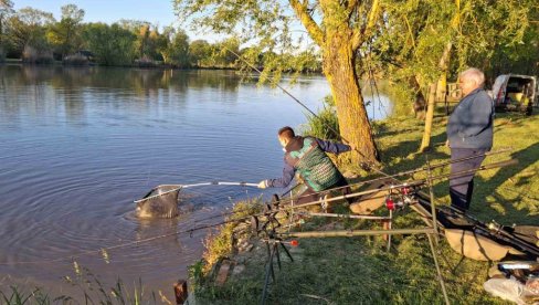 LJubiša upecao najveću ribu: Izvukao šarana od 10 kilograma