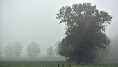 Temperature kao da je novebar: Za 1. maj u debeloj odeći, a na lepo vreme ćemo još morati da čekamo
