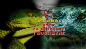 Стоп за муслимане и мигранте! Светска сила дуж границе пушта крокодиле и змије отровнице: Да није злокобно било би смешно