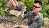 Bosanac uhvatio POSKOKA golim rukama - kad vidite šta radi naježićete se (Video)