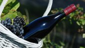 O saradnji grožđa i vina: Da li znate koliko je potrebno grožđa za jednu flašu vina?
