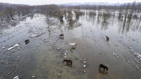 Odogovoran odnos prema klimatskim promenama: Srbija jasnim ciljem i znanjem u borbi sa najvažnijim globalnim izazovima