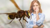 ШТА АКО ВАС УБОДЕ СТРШЉЕН? Поступак који може спасити живот