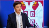БРНАБИЋЕВА ДЕМОНТИРАЛА ПИЦУЛУ: Убаците „звучни топ” у све резолуције и не заборавите добро обучене пчеле
