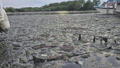 TRAGEDIJA KOD HOTELA JUGOSLAVIJA: Iz Dunava izvučeno telo starijeg muškarca