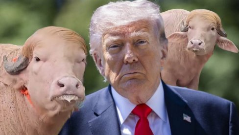 Биће заклан за неколико дана, а кажу - исти Трамп (Видео)