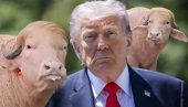 Биће заклан за неколико дана, а кажу - исти Трамп (Видео)