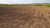 ЦЕНЕ ПОЉОПРИВРЕДНОГ ЗЕМЉИШТА: Ево шта вам је најсигурнија инвестиција