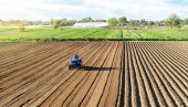 ГЛАМОЧИЋ ПОРУЧИО: За два дана исплаћено 42 милиона евра пољопривредницима - Биће још новца!