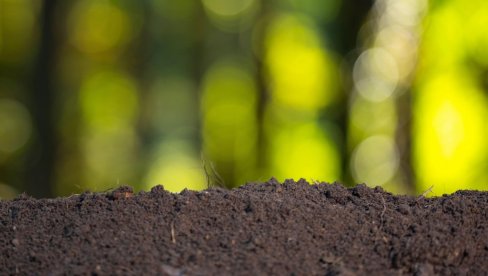 JEDNOSTAVNO OBJAŠNJENJE: Šta je humus, a šta organska materija zemljišta?