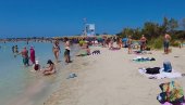 РИБА ЗЕЦ СЕ ШИРИ МЕДИТЕРАНОМ И ИЗАЗИВА УЗБУНУ: Грчке власти започињу специјалну акцију за њено уклањање (ФОТО)
