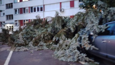 VETAR NOSIO KROVOVE, LOMIO I ČUPAO DRVEĆE: Loznicu i LJuboviju pogodilo jako nevreme (FOTO)