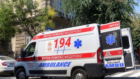 HTEO DA POMOGNE PORODILJI, PA STRADAO OD OSA: Troje dece ostalo bez oca - detalji tragedije u Beogradu