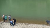 НА ДРИНИ, КОД МАЛОГ ЗВОРНИКА: Затрована вода  убијала рибе