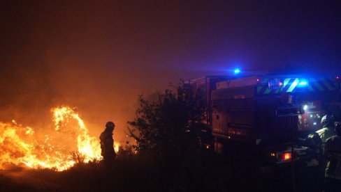 ВАТРА СЕ ШИРИ У ФОНТЕНБЛОУ: Пожар захватио краљевску шуму