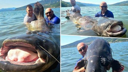 KAKVA GRDOSIJA: Teška 13,5 kilograma i 2,62 metra - Milan iz Niša izvukao kapitalca kakav se retko viđa (FOTO)