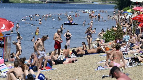 МЕДУЗЕ ПРИМЕЋЕНЕ НА АДИ ЦИГАНЛИЈИ: Стручњак открива да ли су опасне за купаче