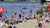 МЕДУЗЕ ПРИМЕЋЕНЕ НА АДИ ЦИГАНЛИЈИ: Стручњак открива да ли су опасне за купаче