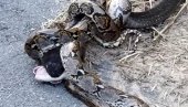 ЈЕЗИВ СНИМАК! Кобра и питон у борби на живот и смрт - познато који рептил је изашао као победник (ВИДЕО)