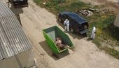 KUGA UGASILA OBORE U 496 GAZDINSTAVA: Posle eutanazije više od 11.000 svinja, zbog zaraze angažovan državni vrh