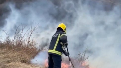 VATRENA STIHIJA ZAHVATILA BOROVU ŠUMU: Izbio požar u specijalnom rezervatu prirode Deliblatska peščara