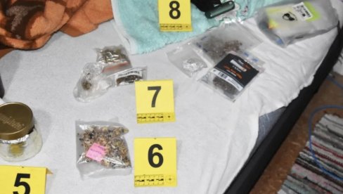 UHAPŠENI DILERI U SUBOTICI: Pronađene halucinogene gljive, zaplenjena i marihuana