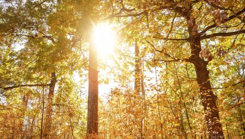 ŠTA ZNAČI KADA SIJA SUNCE NA ARANĐELOVDAN? Narodno verovanje koje je opstalo do danas