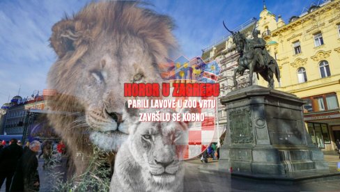 УЖАС У ЗОО ВРТУ: Хрвати парили лавове, завршило се кобно - мужјак убио женку (ВИДЕО)