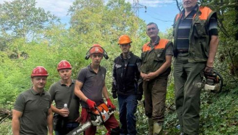 RADOVI U LOZNIČKOM KRAJU: Počelo uređenje zaštitnih pojaseva dalekovoda
