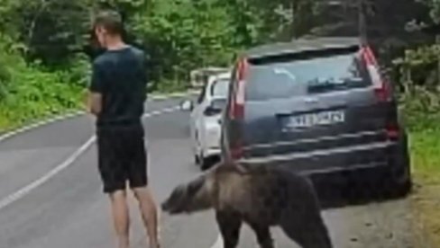 ДРАМА У КОМШИЛУКУ: Медвед га њуши, он непомично стоји - када је схватио ко је иза њега, уследио бег (ВИДЕО)